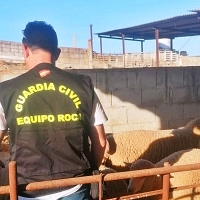 Roban más de un centenar de animales en la provincia de Badajoz