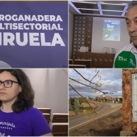 Siruela presenta su XII Feria Agroganadera Multisectorial