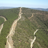 Extremadura Digna pide un Plan de Reforestación para la región
