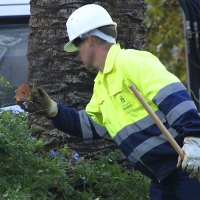 Roban 43 programadores de riego al Ayto. de Badajoz valorados en miles de euros