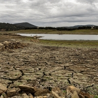 Solicitan a la Junta una ayuda de 17 millones de euros para la superficie afectada por la sequía
