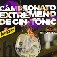 Llega a Badajoz el campeonato regional de Gin-tonic