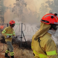 Bomberos forestales evitan el descontrol de un incendio entre Mérida y Don Álvaro