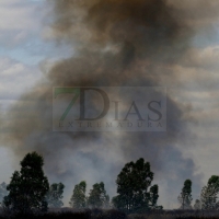 Siete horas de trabajos en un incendio en la Nacional 523 (Badajoz)