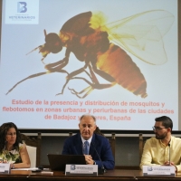 Alertan de la presencia de nuevas especies de mosquitos en Badajoz y Cáceres