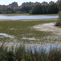 Gragera responde a Cabezas: “Trasladar que el Ayto. es el responsable de la situación del río es intolerable”