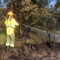 Incendio forestal cerca de La Codosera (Badajoz)