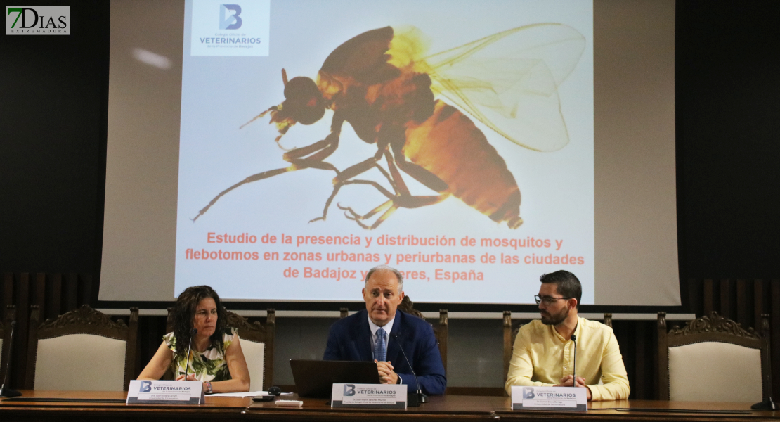 Alerta de la presencia de nuevas especies de mosquitos en Badajoz y Cáceres