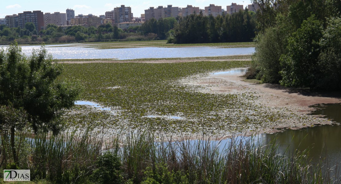 Gragera responde a Cabezas: “Trasladar que el Ayto. es el responsable de la situación del río es intolerable”