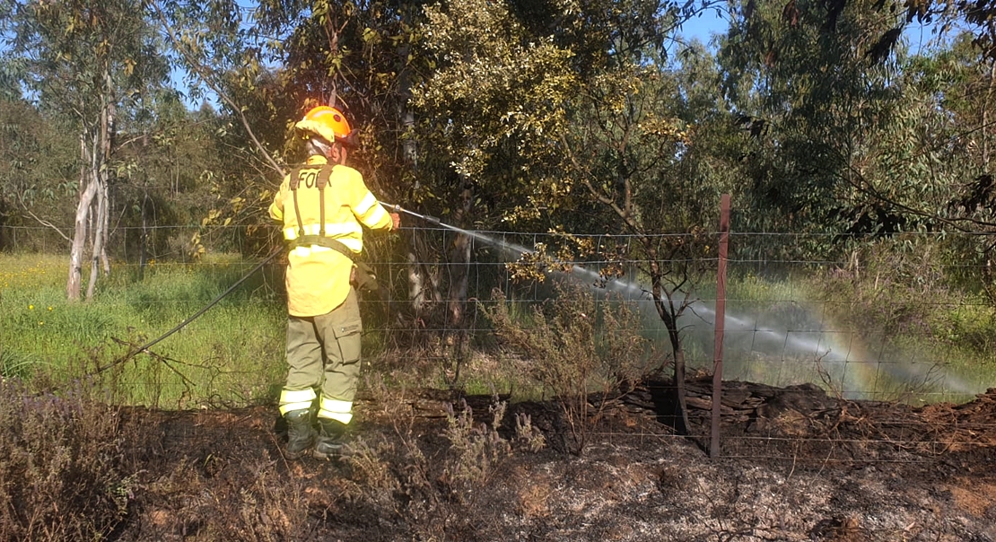 Incendio forestal cerca de La Codosera (Badajoz)