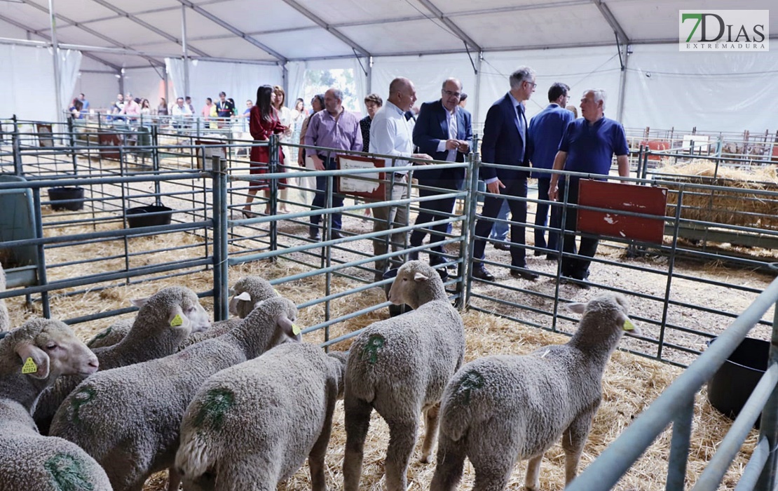 Imágenes de la Feria Ganadera y Agroturística de La Siberia en Herrera del Duque