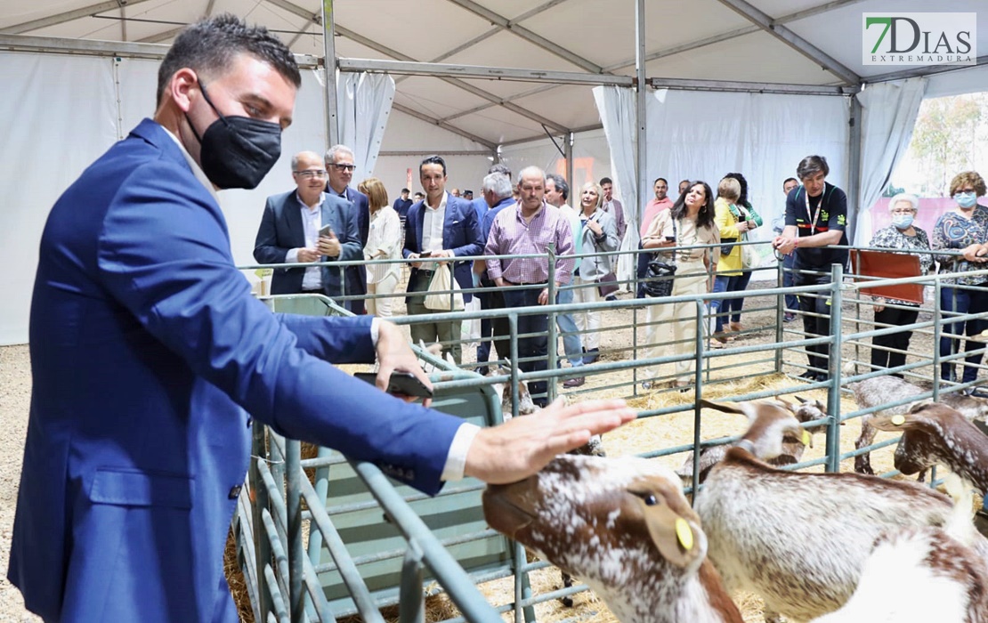 Imágenes de la Feria Ganadera y Agroturística de La Siberia en Herrera del Duque