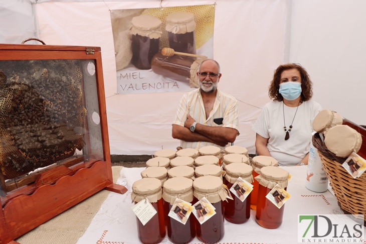 Trashumancia y queso protagonistas en Valverde de Leganés