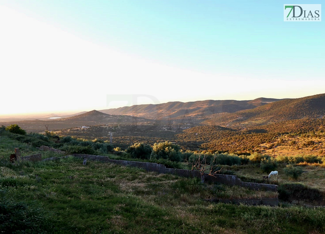 REPOR - Inauguración de la Feria Ibérica de la Alfarería y el Barro de Salvatierra