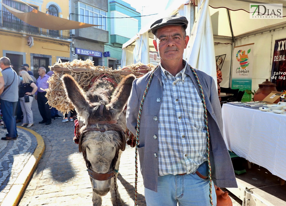 REPOR - Inauguración de la Feria Ibérica de la Alfarería y el Barro de Salvatierra