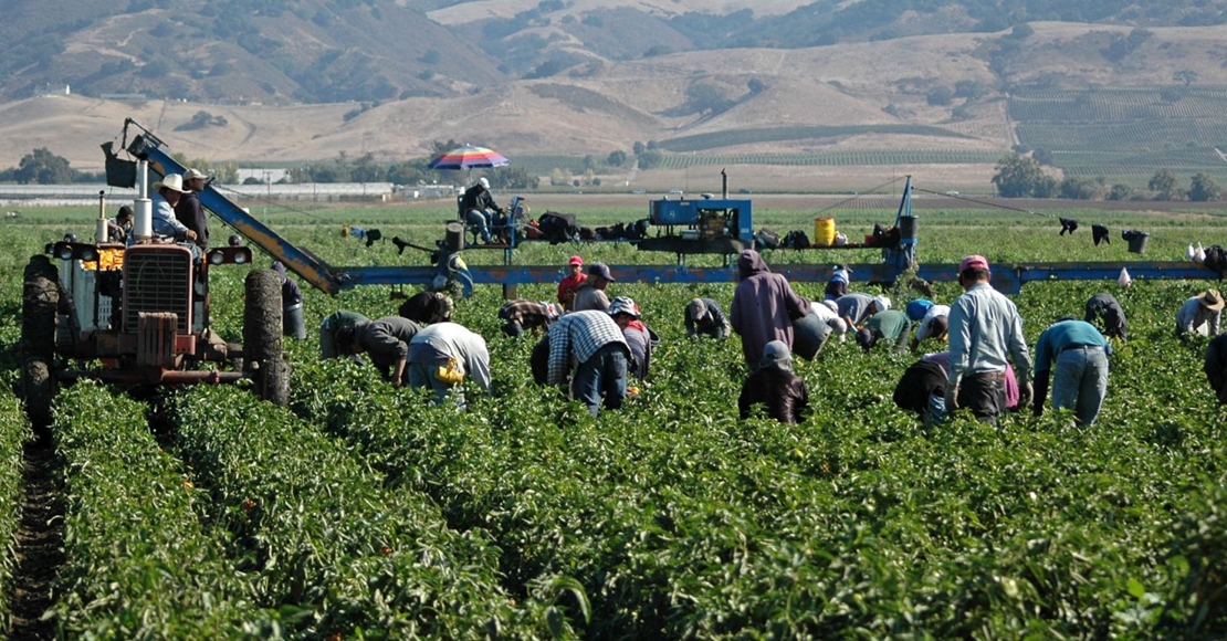 Huelga en el campo: logran que la patronal agraria acepte un acuerdo sobre el convenio