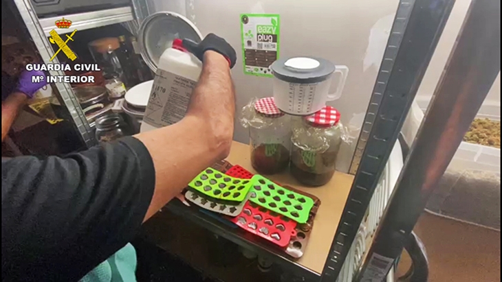 Desmantelan un laboratorio ilegal de chucherías de marihuana