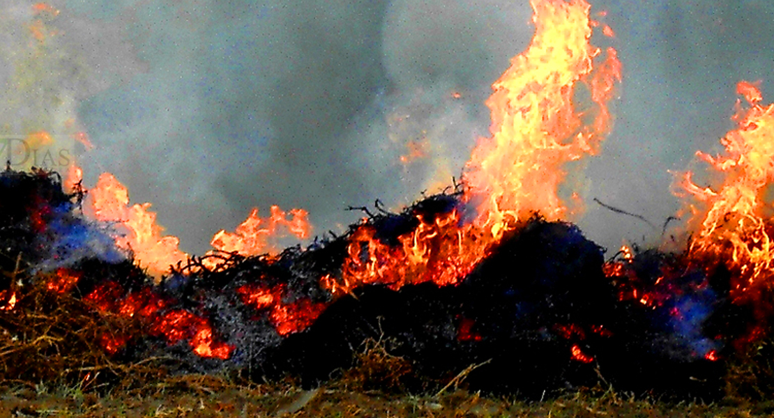 Exigen que se permita la quema controlada en Extremadura para luchar contra plagas y malas hierbas