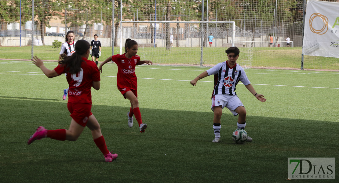 Imágenes de la XI Women&#39;s Cup