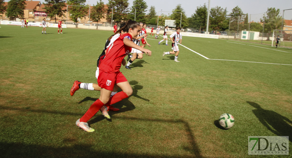 Imágenes de la XI Women&#39;s Cup