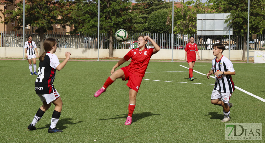 Imágenes de la XI Women&#39;s Cup