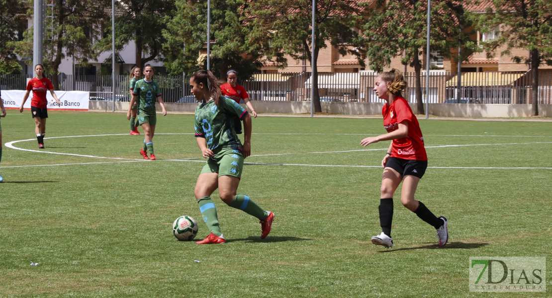 Imágenes de la XI Women&#39;s Cup