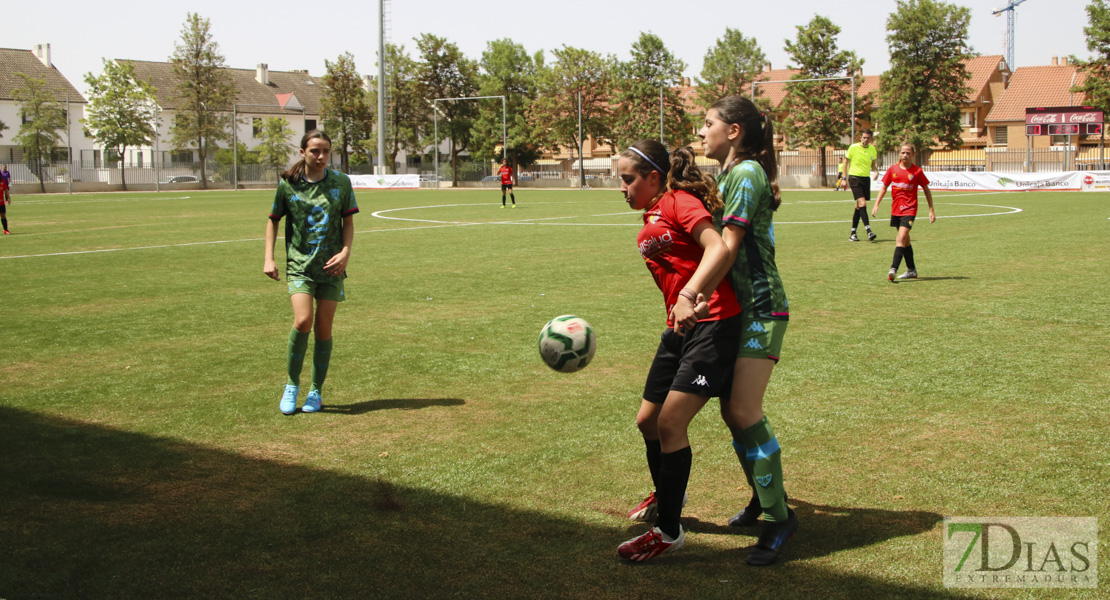 Imágenes de la XI Women&#39;s Cup