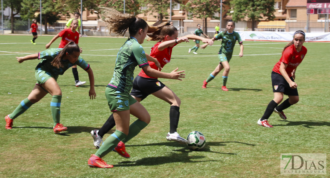 Imágenes de la XI Women&#39;s Cup