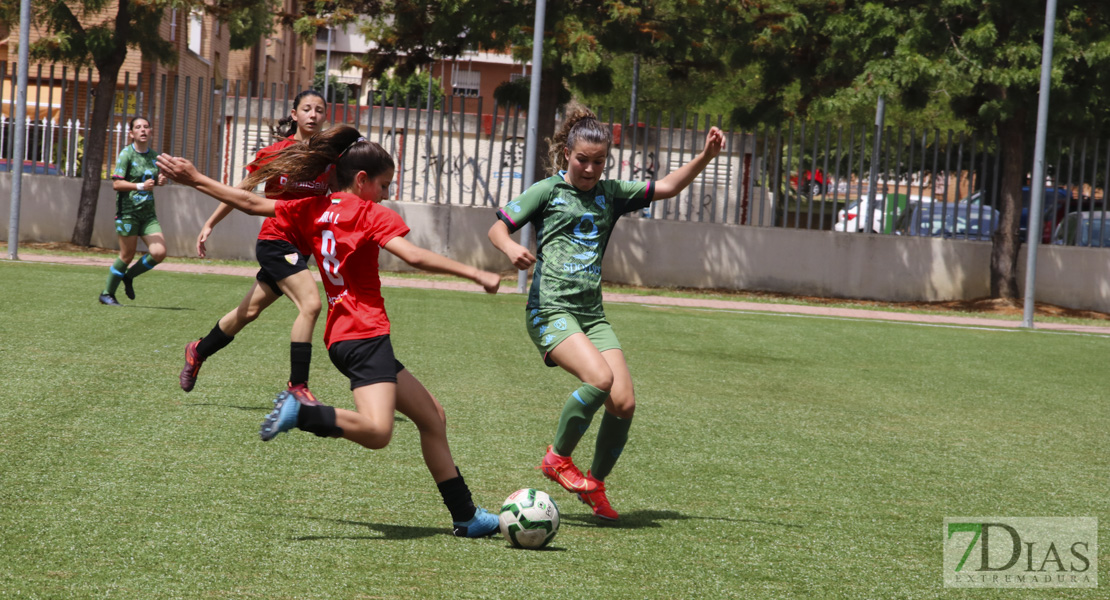 Imágenes de la XI Women&#39;s Cup