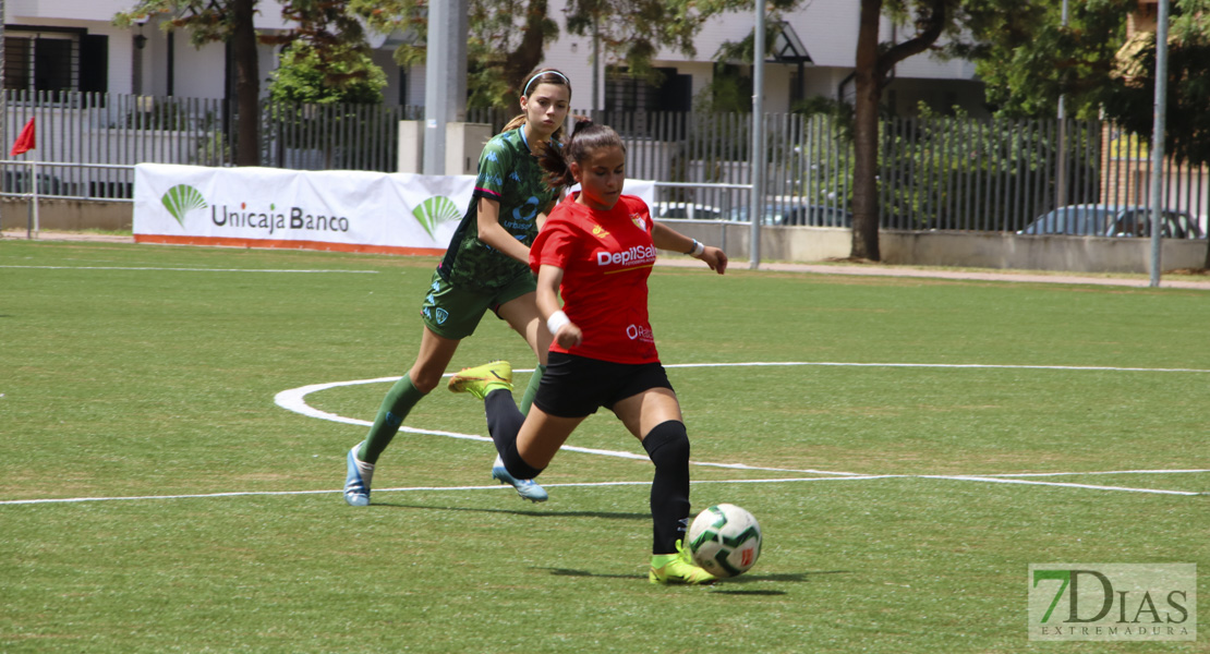 Imágenes de la XI Women&#39;s Cup