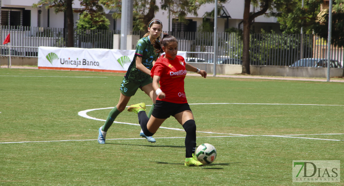 Imágenes de la XI Women&#39;s Cup