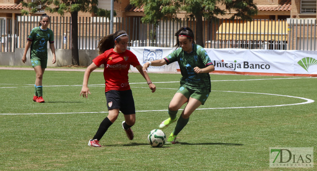 Imágenes de la XI Women&#39;s Cup