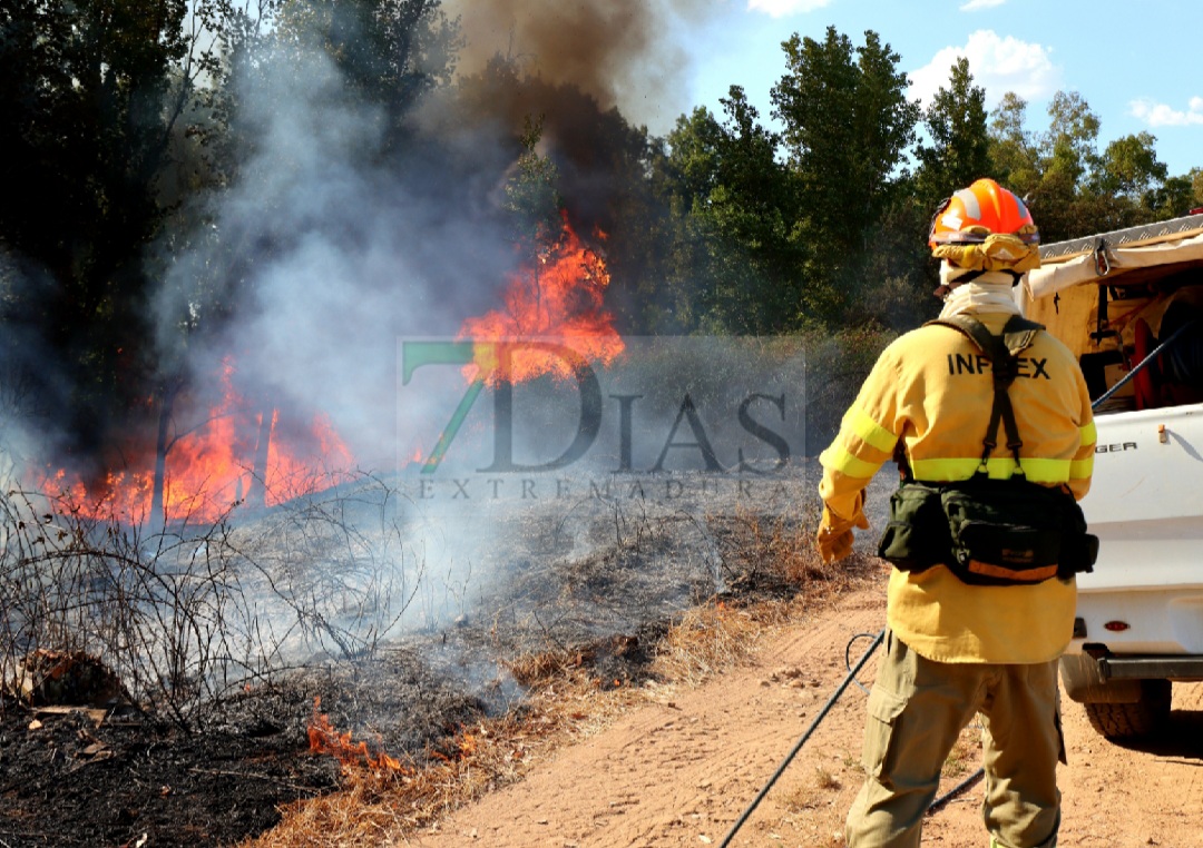 Grave incendio forestal entre Sagrajas y Novelda del Guadiana (BA)