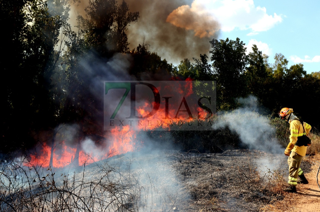 Grave incendio forestal entre Sagrajas y Novelda del Guadiana (BA)