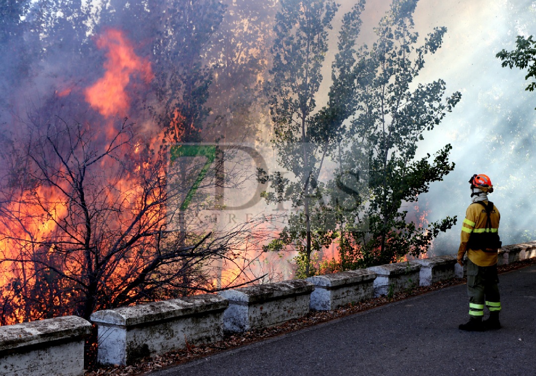 Grave incendio forestal entre Sagrajas y Novelda del Guadiana (BA)