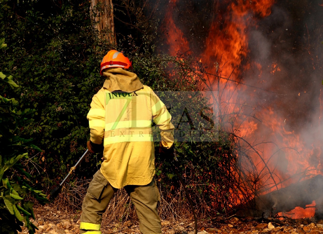 Grave incendio forestal entre Sagrajas y Novelda del Guadiana (BA)