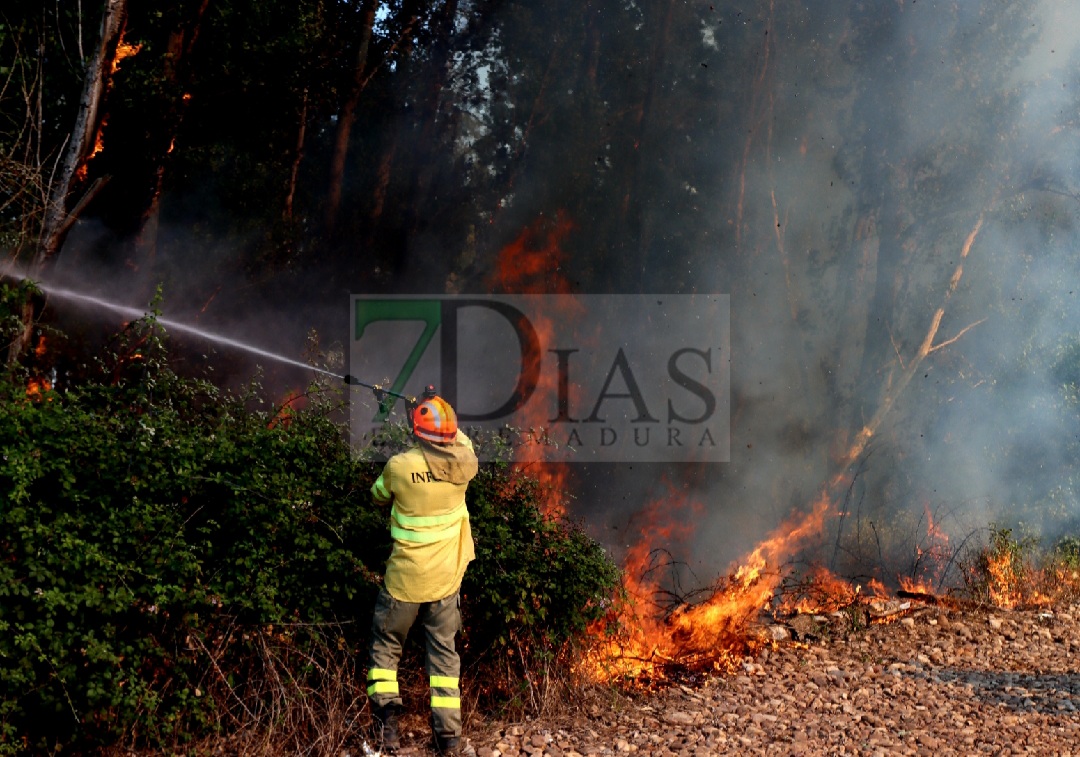 Grave incendio forestal entre Sagrajas y Novelda del Guadiana (BA)