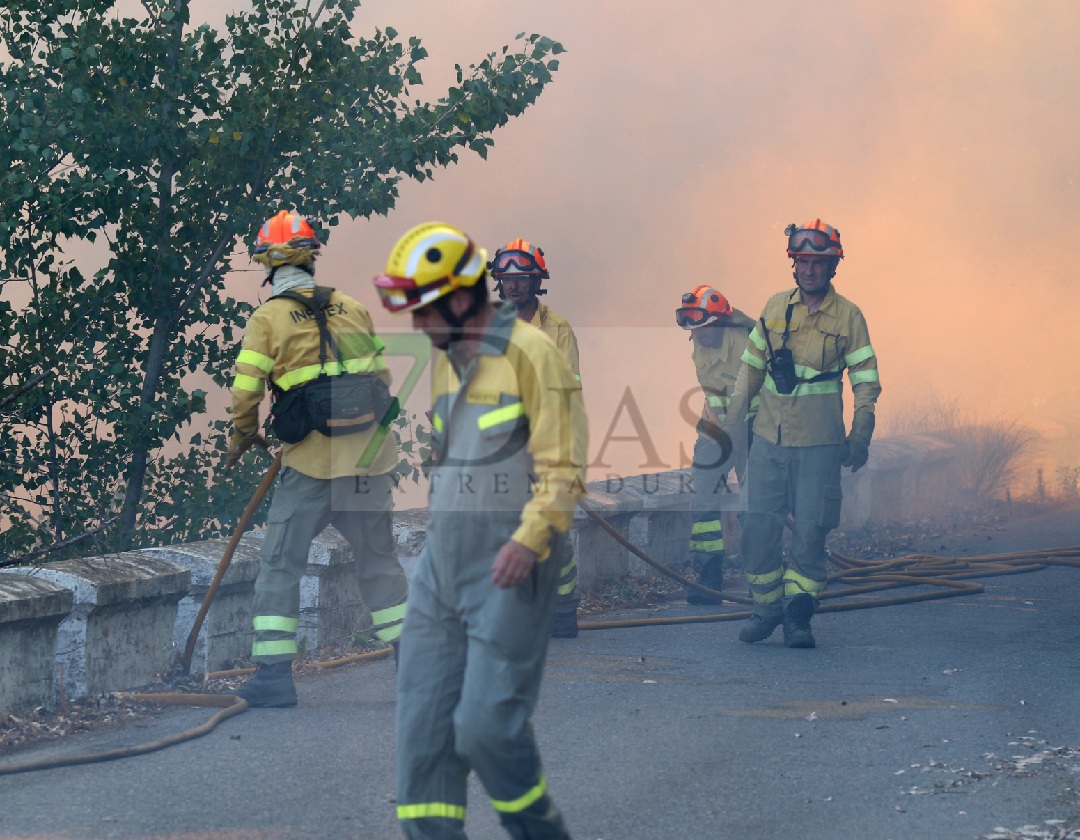 Grave incendio forestal entre Sagrajas y Novelda del Guadiana (BA)