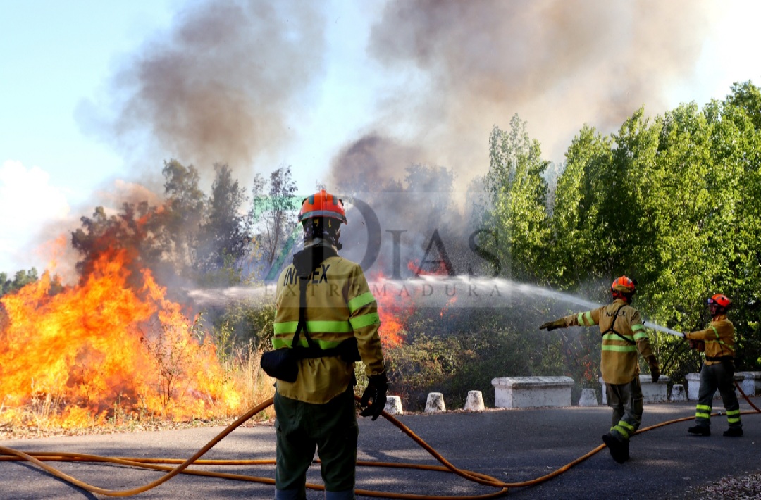 Grave incendio forestal entre Sagrajas y Novelda del Guadiana (BA)