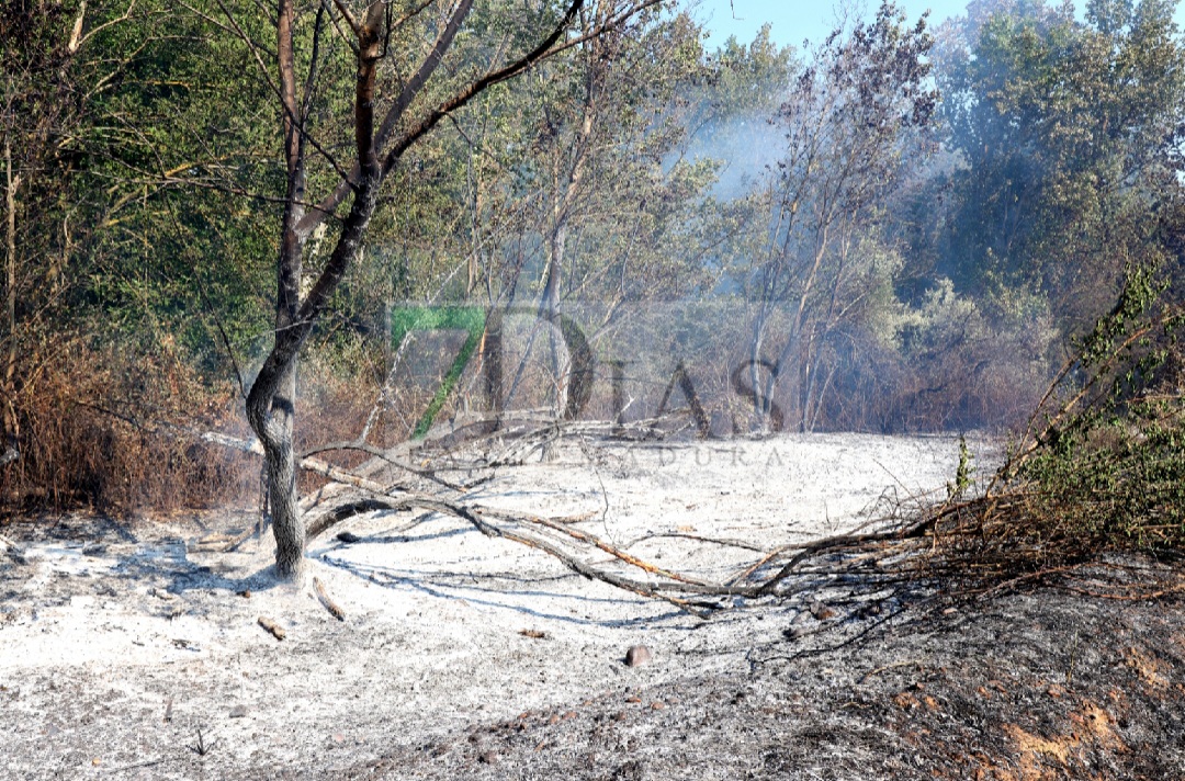 Grave incendio forestal entre Sagrajas y Novelda del Guadiana (BA)