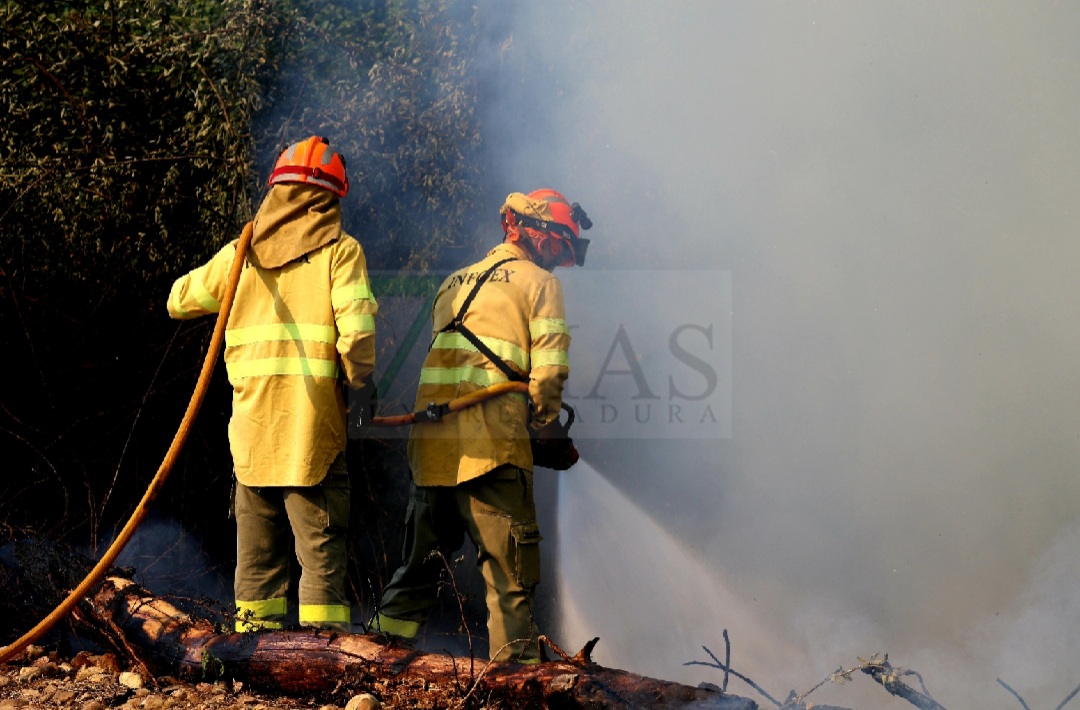 Grave incendio forestal entre Sagrajas y Novelda del Guadiana (BA)