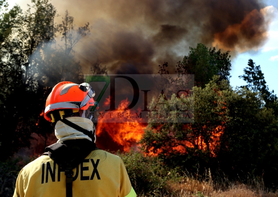 Grave incendio forestal entre Sagrajas y Novelda del Guadiana (BA)