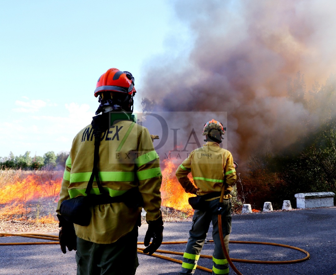 Grave incendio forestal entre Sagrajas y Novelda del Guadiana (BA)