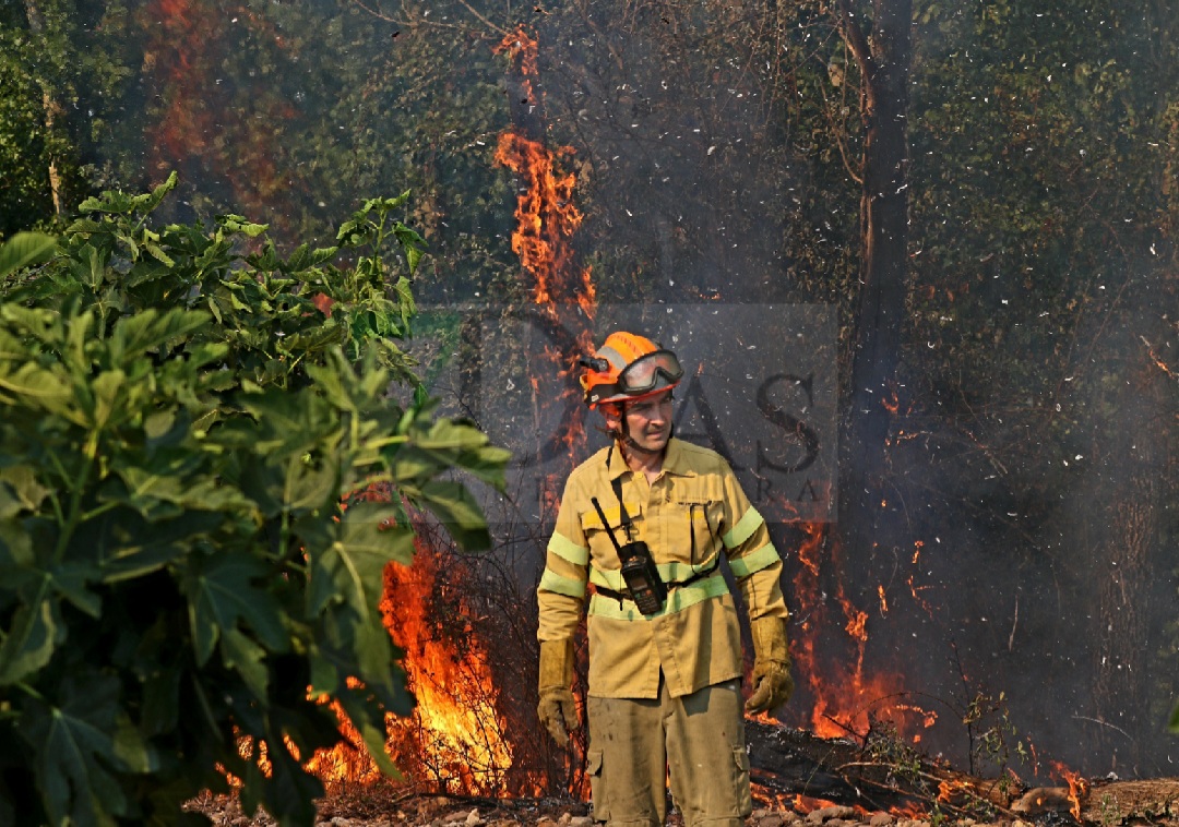 Grave incendio forestal entre Sagrajas y Novelda del Guadiana (BA)