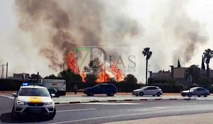 Desalojan un tanatorio en Mérida tras declararse un incendio en la N-630