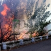 Grave incendio forestal entre Sagrajas y Novelda del Guadiana (BA)