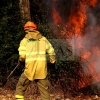 Grave incendio forestal entre Sagrajas y Novelda del Guadiana (BA)