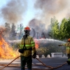 Grave incendio forestal entre Sagrajas y Novelda del Guadiana (BA)