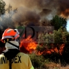 Grave incendio forestal entre Sagrajas y Novelda del Guadiana (BA)