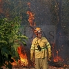 Grave incendio forestal entre Sagrajas y Novelda del Guadiana (BA)